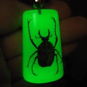 Hand Crafted 2" Glow In the Dark Beetle Necklace